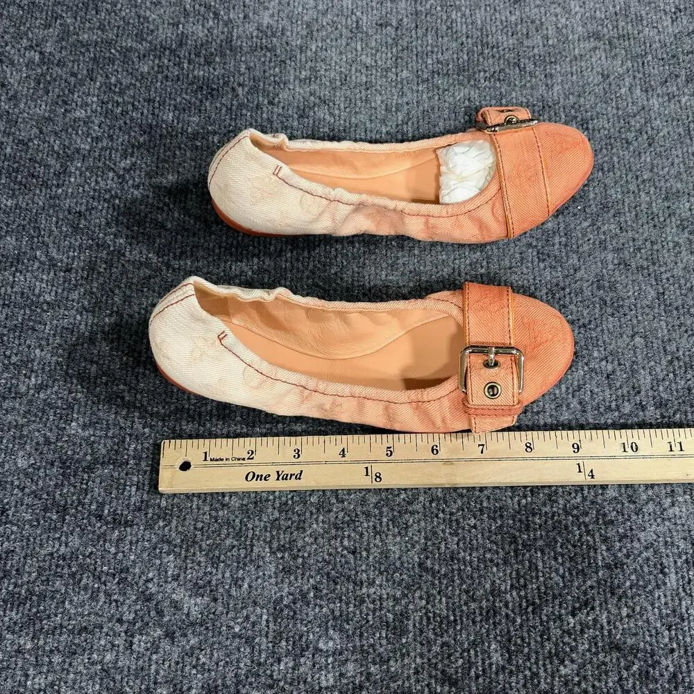 Louis Vuitton brand louis